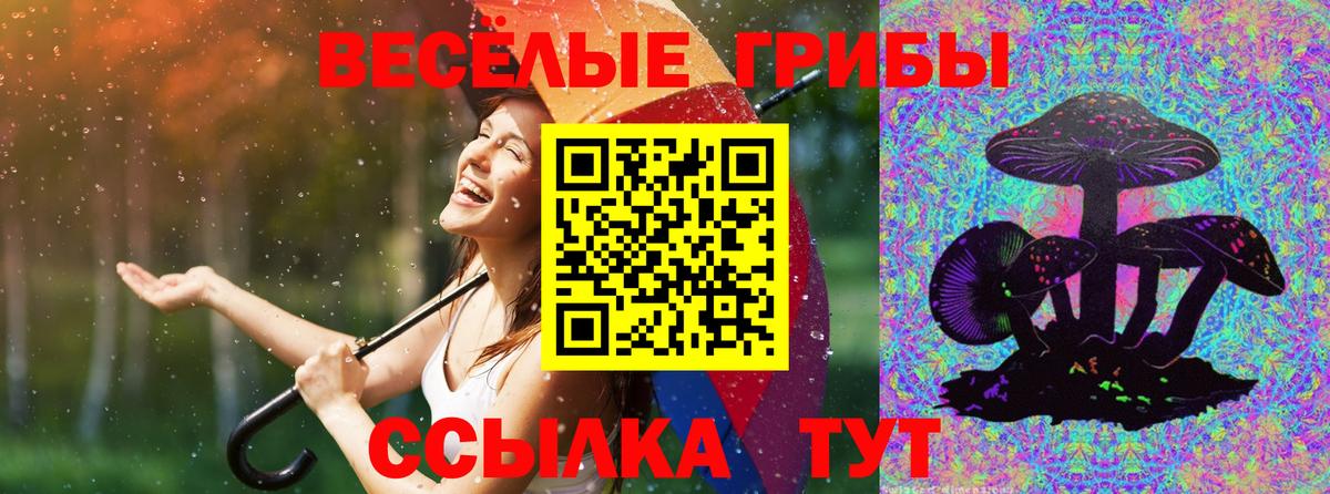Галлюциногенные грибы Psilocybe  как найти закладки  Шадринск  Вход с VPN 